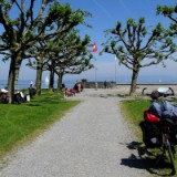 1505F 067 Arbon(CH)